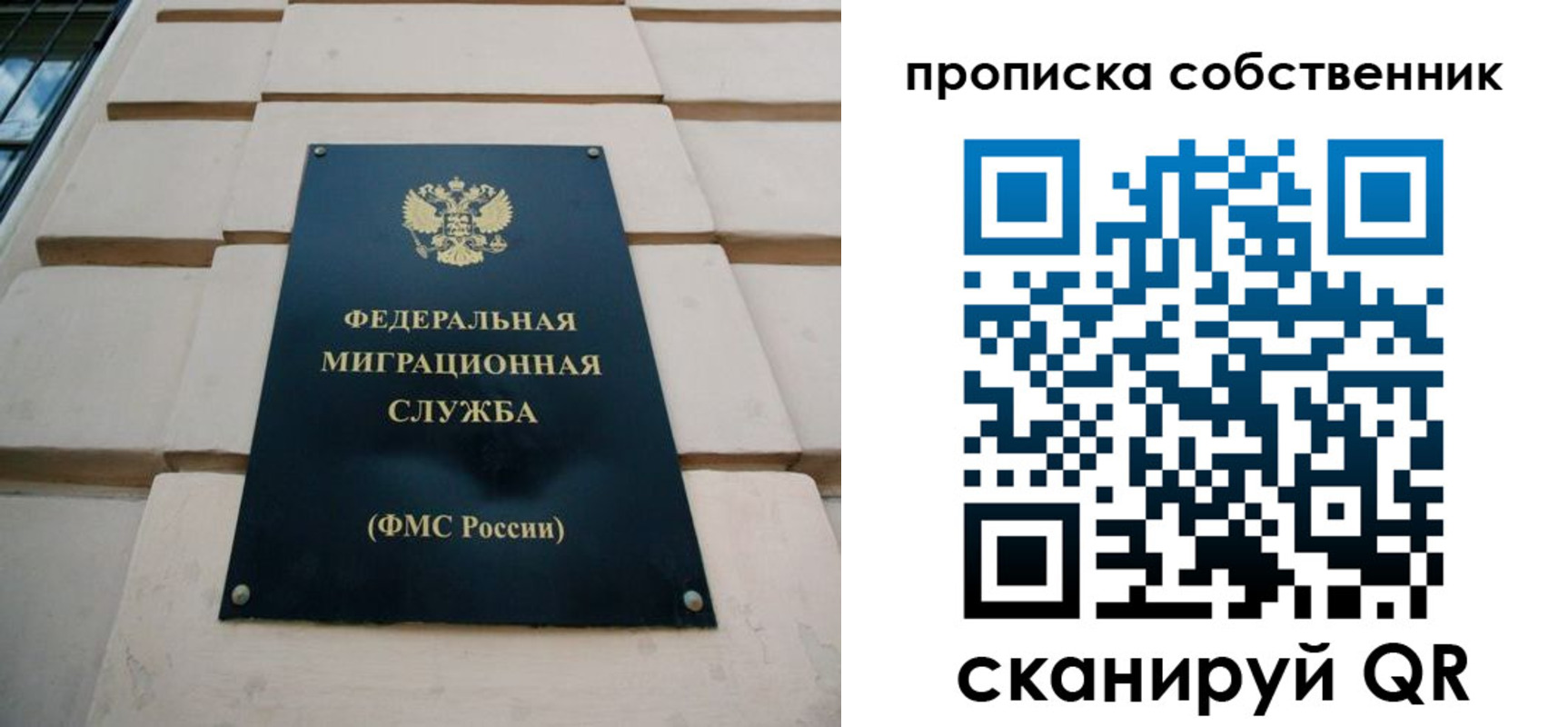 прописка законно в Соколе